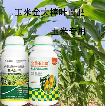 玉米抗倒金大棒玉米葉面肥定做,金大棒廠家批發