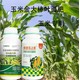 玉米葉面肥圖