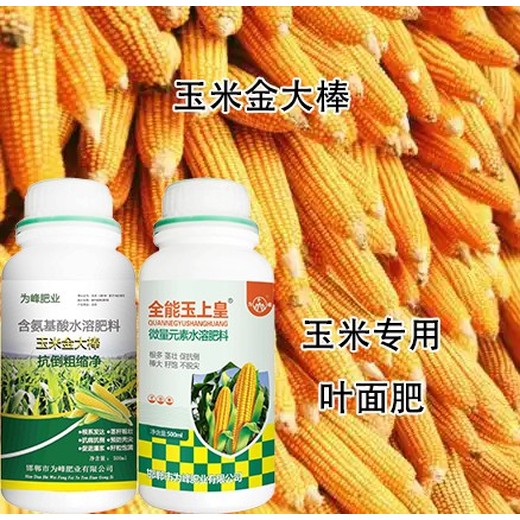 預(yù)防禿尖玉上皇玉米葉面肥生產(chǎn)廠家,玉米高產(chǎn)肥料