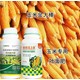 預防禿尖金大棒玉米葉面肥銷售經理,玉米葉面肥圖