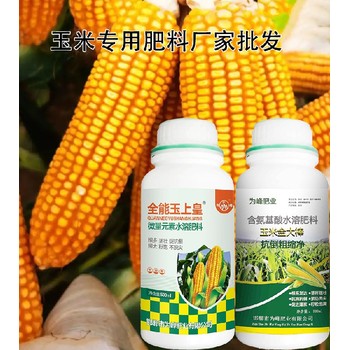 含氨基酸玉米金大棒玉米葉面肥效果,玉米金大棒招商
