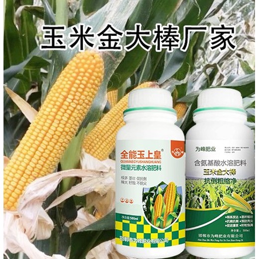 預防禿尖金大棒玉米葉面肥銷售經理,玉米葉面肥