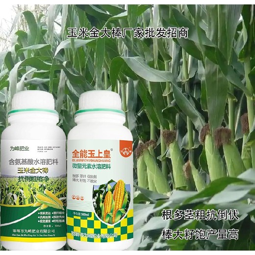 玉米玉上皇玉米葉面肥哪里賣,金大棒廠家批發(fā)