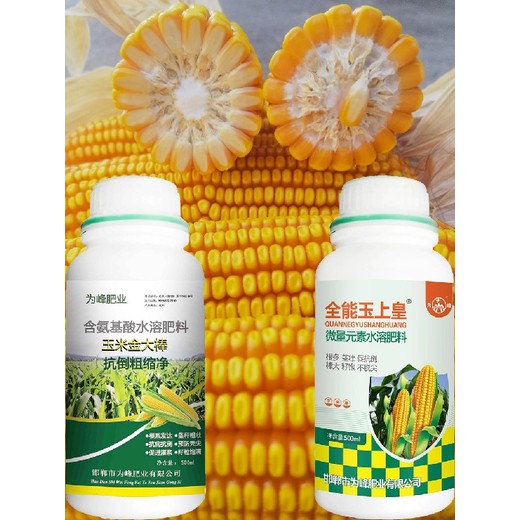 預防黃葉玉米金大棒玉米葉面肥功效,玉米高產(chǎn)肥料