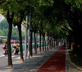 大興EPDM塑膠地面施工,彈性彩色塑膠地面