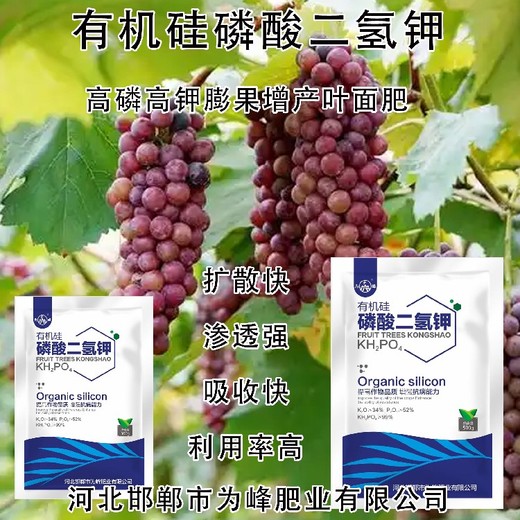復配型顆粒有機硅磷酸二氫鉀多少錢(qián),磷酸二氫鉀廠(chǎng)家批發(fā)
