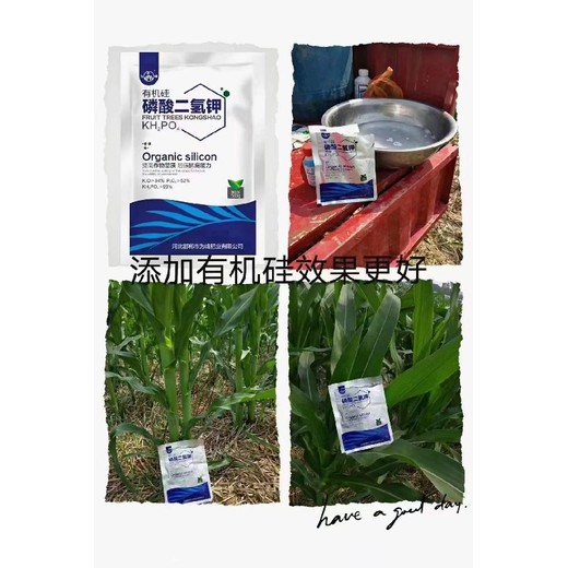 復配型顆粒有機硅磷酸二氫鉀好不好,磷酸二氫鉀廠(chǎng)家批發(fā)