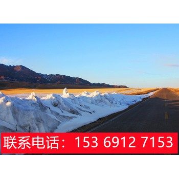 石家莊去新疆旅游報價,哪家好
