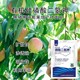 廠家閃溶有機(jī)硅磷酸二氫鉀經(jīng)銷商,磷酸二氫鉀廠家批發(fā)產(chǎn)品圖