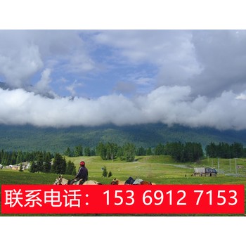 石家莊到新疆旅游費用,燕趙旅行社