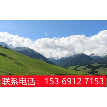 從石家莊出發(fā)到新疆旅游,石家莊到新疆天山天池旅游