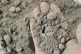 普陀輕集料混凝土每立方多少錢屋面找坡輕集料混凝土每平米價格
