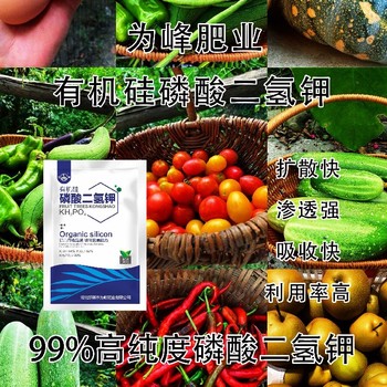 高滲透閃溶有機硅磷酸二氫鉀哪里賣,為峰肥業(yè)公司招商