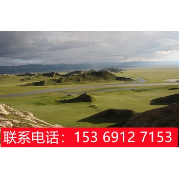 石家莊去新疆旅游,石家莊到新疆天山天池旅游
