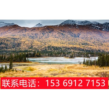 從石家莊出發到新疆旅游,跟團旅游