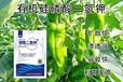 99%晶體有機硅磷酸二氫鉀經(jīng)銷商,為峰肥業(yè)公司招商