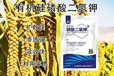 復(fù)配型閃溶有機硅磷酸二氫鉀多少錢,磷酸二氫鉀廠家批發(fā)