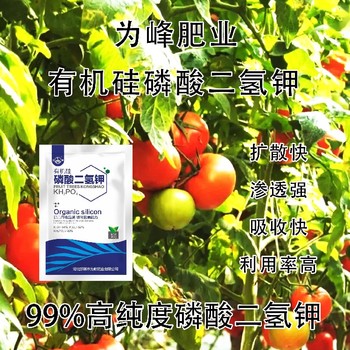 高磷高鉀顆粒有機硅磷酸二氫鉀什么時間用,磷酸二氫鉀廠家批發(fā)