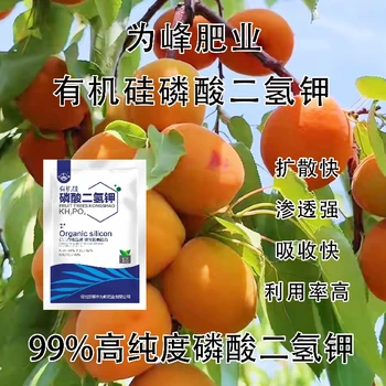 高磷高鉀速溶有機(jī)硅磷酸二氫鉀什么時(shí)間用,為峰肥業(yè)公司招商