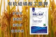 99%晶體有機硅磷酸二氫鉀定做,為峰肥業(yè)公司招商