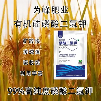 99%閃溶有機(jī)硅磷酸二氫鉀什么時(shí)間用,磷酸二氫鉀廠家批發(fā)