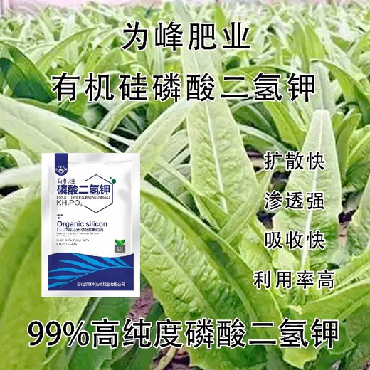 99%為峰肥業(yè)有機(jī)硅磷酸二氫鉀作用,為峰肥業(yè)公司招商
