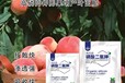 新型為峰肥業有機硅磷酸二氫鉀廠家電話,磷酸二氫鉀廠家批發