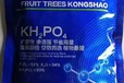 99%全能胖墩有機硅磷酸二氫鉀多少錢,為峰肥業(yè)公司招商