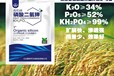 廠家直銷為峰肥業(yè)有機硅磷酸二氫鉀功效,磷酸二氫鉀廠家批發(fā)