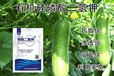 新型為峰肥業有機硅磷酸二氫鉀好不好,磷酸二氫鉀廠家批發