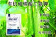 復(fù)配型為峰肥業(yè)有機硅磷酸二氫鉀批發(fā),磷酸二氫鉀廠家批發(fā)