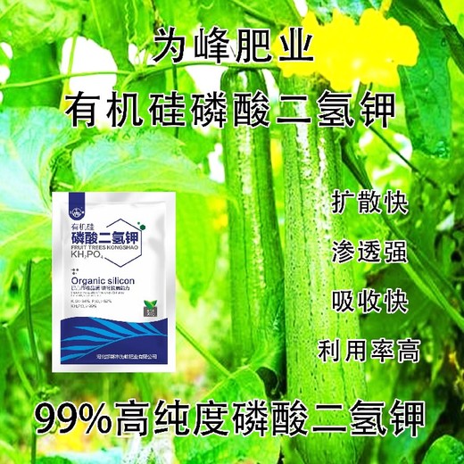 高磷高鉀閃溶有機硅磷酸二氫鉀好不好,為峰肥業(yè)公司招商