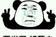 石家莊市贊皇縣高中厭學心理咨詢