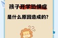 郴州市嘉禾縣學生不上學心理咨詢