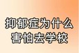 衡水市桃城學(xué)生不上學(xué)怎么辦心語者心理在線一對(duì)一