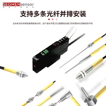 沈陽供應(yīng)光纖放大器廠家