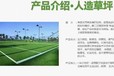 綦江國先體育塑膠跑道操場