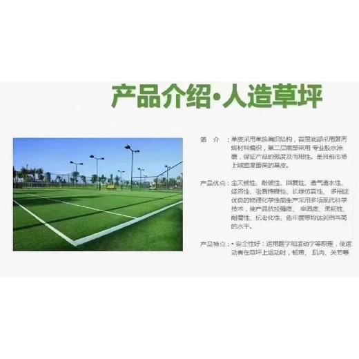 四川戶外國先體育塑膠跑道批發(fā)操場