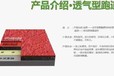北京國先EPDM塑膠跑道免費設計圖學校操場全速型塑膠跑道