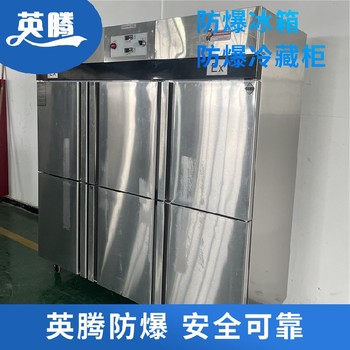 BL1200(DL208L)防爆冰箱防爆型低溫儲存柜
