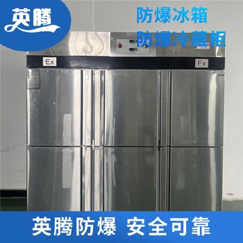 BL1200(D408L)408升立式低溫防爆冰箱