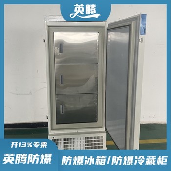 BL1200(D408L)408升立式低溫防爆冰箱