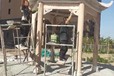 上海佛像寺廟石雕聯系方式佛像雕塑