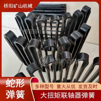 蛇形彈簧機(jī)器山西蛇形彈簧聯(lián)軸器大扭矩聯(lián)軸器