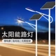 四川省自貢市太陽能路燈廠家定制圖