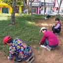 河?xùn)|麥冬草基地