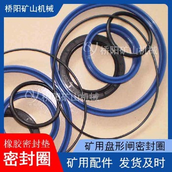 活塞桿通用密封圈105X95X12