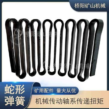 蛇形彈簧機(jī)器山西蛇形彈簧聯(lián)軸器大扭矩聯(lián)軸器