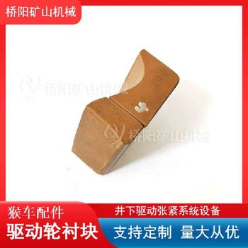 索道設(shè)備輪襯塊導(dǎo)向輪摩擦襯塊60x77x28
