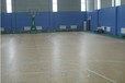 藍球場運動地膠塑膠地板顏色